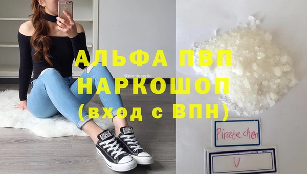 дмт Абаза