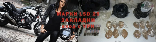 дмт Абаза