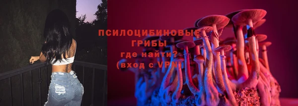 дмт Абаза