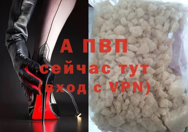 дмт Абаза