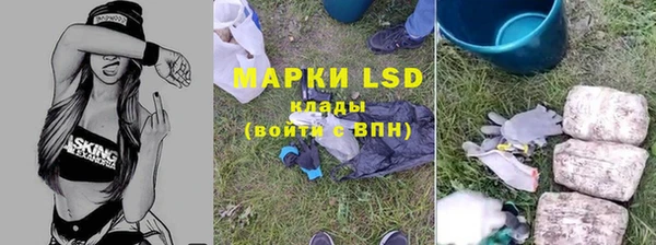 apvp Алексин