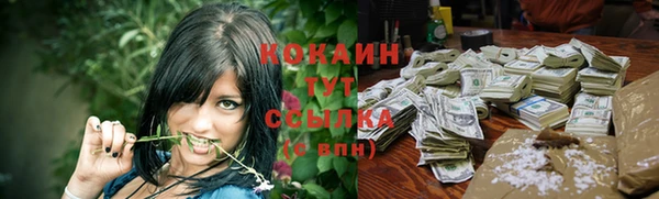 дмт Абаза